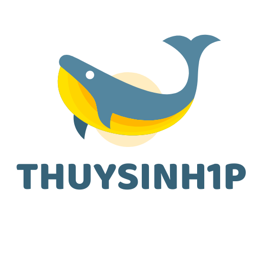 thuysinh1p.com